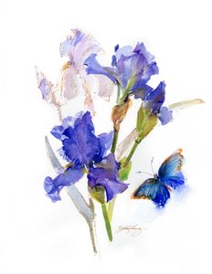 Iris med blå sommerfugl, 2016, (akvarel) af John Keeling
