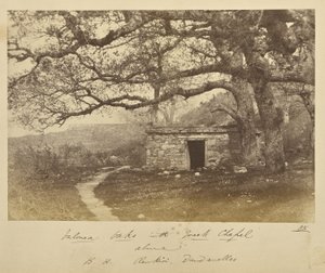 Valonea Oaks med græsk kapel ovenover. B.H. Renkioi, Dardanellerne af John Kirk