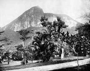 Botanisk have og Mount Corcovado, Rio De Janeiro, Brasilien, 1893. af John L. Stoddard