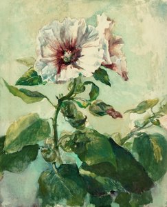 Studie af lyserøde stokroser i sollys, fra Nature af John La Farge