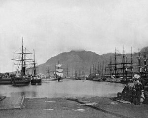 Kap det Gode Håb i Sydafrika (s/h foto) af John Lawson Stoddard