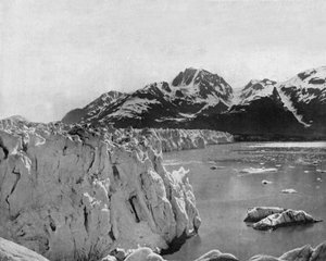 Muir-gletsjeren i Alaska (s/h-billede) af John Lawson Stoddard