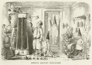 Indenlandske sanitære regler af John Leech