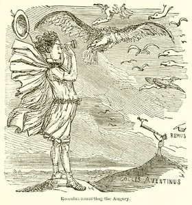 Romulus rådgiver i august