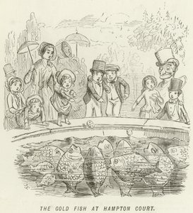 Guldfisken ved Hampton Court af John Leech