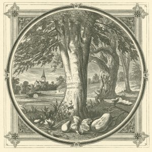 Kærlighed tager sindet i besiddelse af ufølsomhed (gravering) af John Leighton