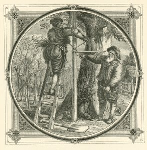 Grenene kan trænes, men ikke stammen (gravering) af John Leighton