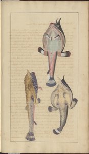 Lindsay Drawings Vol. VII, 27 af John Lindsay