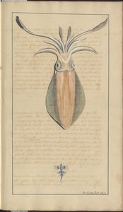 Lindsay Drawings Vol. VII, 29 af John Lindsay