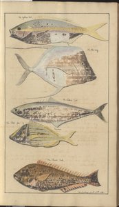 Lindsay Drawings Vol. VII, 2 af John Lindsay