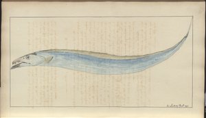 Lindsay Drawings Vol. VII, 9 af John Lindsay