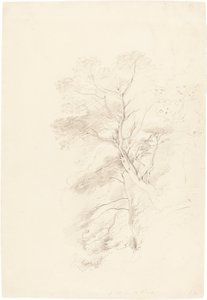 En bøgeskov af John Linnell