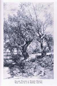 Træhuggere i udkanten af Windsor Forest, Nature in Britain udgivet af Collins af John Linnell