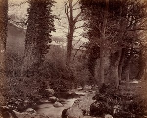 Uden titel, c. 1859. af John Lloyd