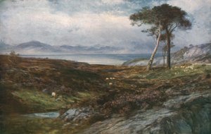 Lyng: Det skotske højland, c1910, c1930.