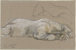 Studier af en liggende isbjørn af John Macallan Swan