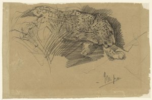 Studier af en leopard af John Macallan Swan