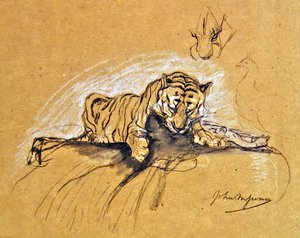 Tigress eating, ca. 1875 (kul & farvet kridt på papir)