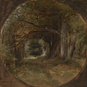 Landskab