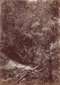 Darien-ekspeditionen, 1871 (foto) af John Moran