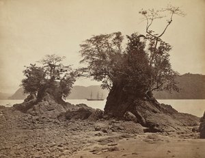 Øer i Lemon Bay, 1871. af John Moran