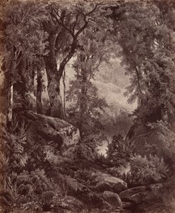 Ensomhed,1865 (foto) af John Moran