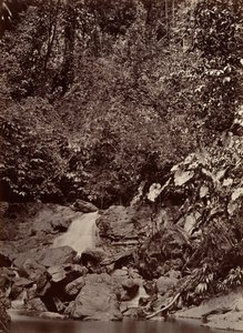 Tropisk landskab, Cascade, Limon River, 1871.