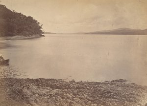 Tropical Scenery, Darien Harbour - Looking South, 1871. af John Moran