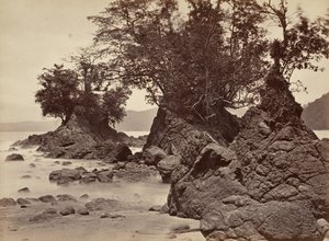 Tropisk landskab, Limon Bay - lavvande, 1871.