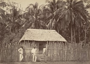 Tropisk landskab, Native Hut, Turbo, 1871.