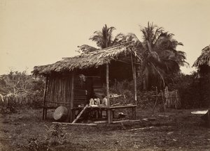 Tropisk landskab, Native Hut, Turbo, 1871. af John Moran