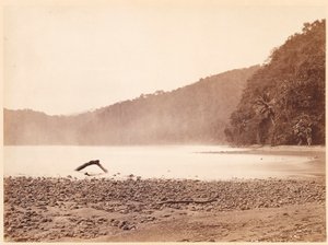 Tropisk landskab: Endestationen for den foreslåede kanal, Limon Bay (Darien-ekspeditionen) af John Moran