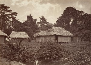 Tropisk landskab, Turbo Village, 1871.