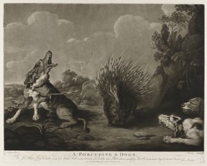 Porcupine og tre hunde A Porcupine & Dogs (titel på objekt)