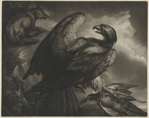 Ørn og Ræv af John Murphy after James Northcote