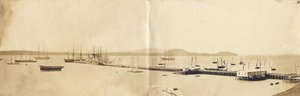 Auckland Harbour, 1865 (albumin print)