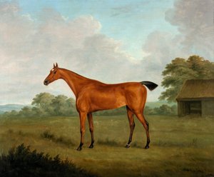Kastanjehest i et landskab, 1815