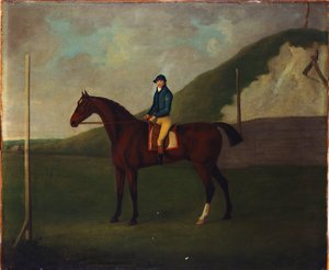 "Creeper", A Bay Colt With Jockey Up At The Starting Post At The Running Gap In The Devils Ditch, Newmarket
