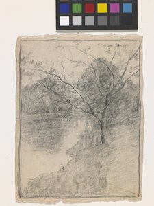 Tree Beside A Stream (blyant på råhvidt papir)