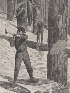 Tømmer om vinteren Hver lørdag, Vol. II, ny serie, 28. januar 1871.