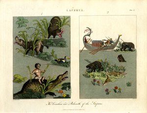 Skriftens Leviathan og Behemoth af John Pass