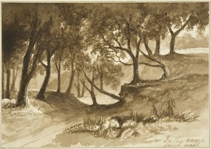 Udsigt i Burwalls Camp, Leigh Woods af John Reverend Eden