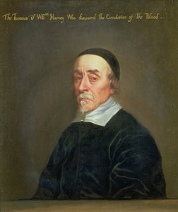 Portræt af William Harvey (1578-1657)