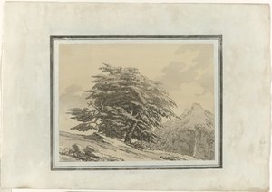 Ceder af John Robert Cozens