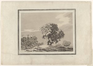 Elm af John Robert Cozens