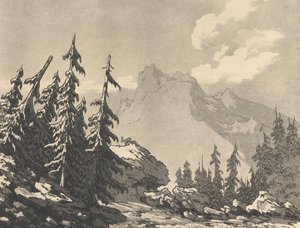 Rødgran og ædelgran