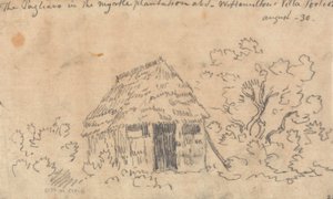 Pagliaro i Myrtle Plantage i Sir William Hamilton