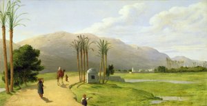 Asyut ved Nilen, 1873