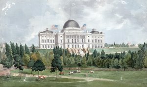 Vestfronten af United States Capitol med køer i forgrunden 1831 (olie på lærred)