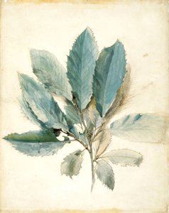 Kastanjeblade af John Ruskin